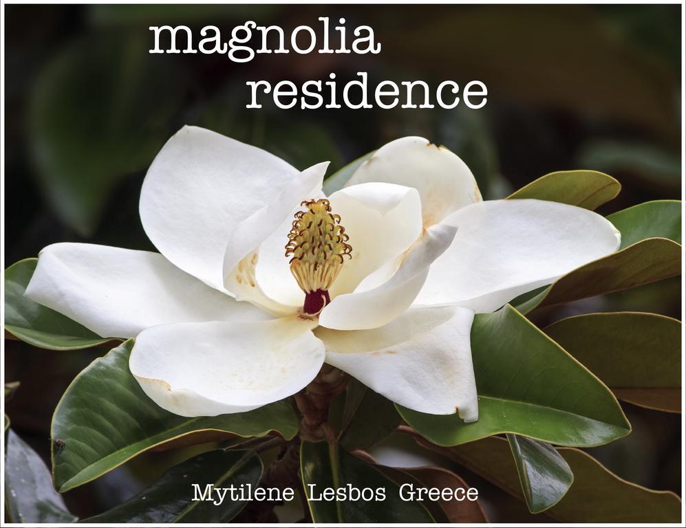 Magnolia Residence Мітіліні Екстер'єр фото